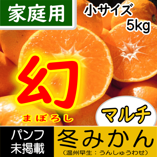 ついに登場！『幻のみかん』！