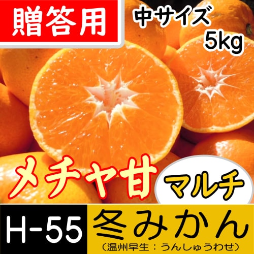 【南三重産】メチャ甘マルチ★冬みかん_贈答用[中サイズ]_5kg箱入[H-55]