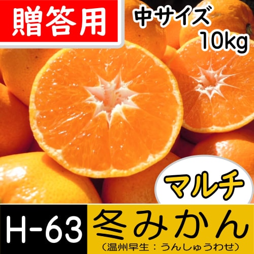 【南三重産】マルチ★冬みかん_贈答用[中サイズ]_10kg箱入[H-63]