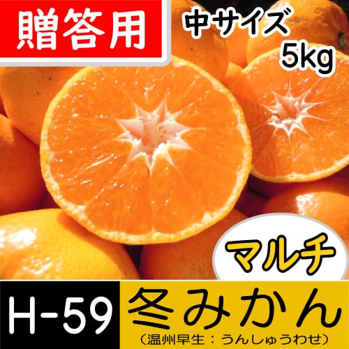 【南三重産】マルチ★冬みかん_贈答用[中サイズ]_5kg箱入[H-59]