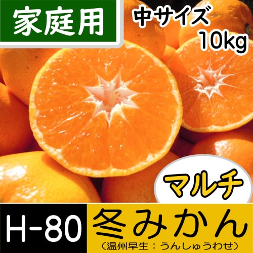 みかん おまとめ商品 みかん様 みかん様 ミカン様 ミカン様 蜜柑様 レビュー】ZXシリーズ10周年