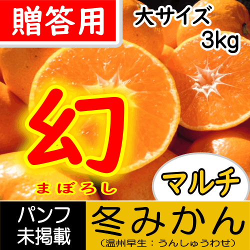 【南三重産】幻の冬みかん★贈答用[大サイズ]_3kg箱入★糖度13度以上!!冬みかん最高級の味わい