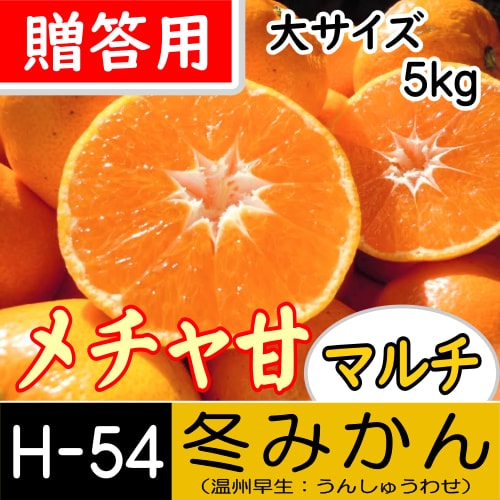 【南三重産】メチャ甘マルチ★冬みかん_贈答用[大サイズ]_5kg箱入[H-54]