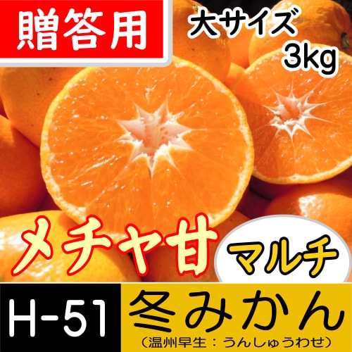 【南三重産】メチャ甘マルチ★冬みかん_贈答用[大サイズ]_3kg箱入[H-51]