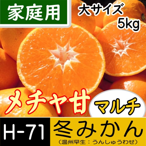 【南三重産】メチャ甘マルチ★冬みかん_家庭用[大サイズ]_5kg箱入[H-71]