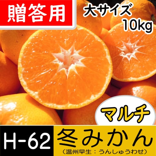 【南三重産】マルチ★冬みかん_贈答用[大サイズ]_10kg箱入[H-62]