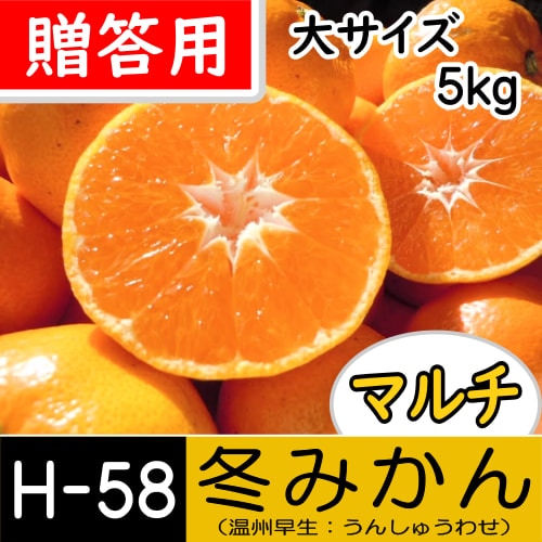 【南三重産】マルチ★冬みかん_贈答用[大サイズ]_5kg箱入[H-58]