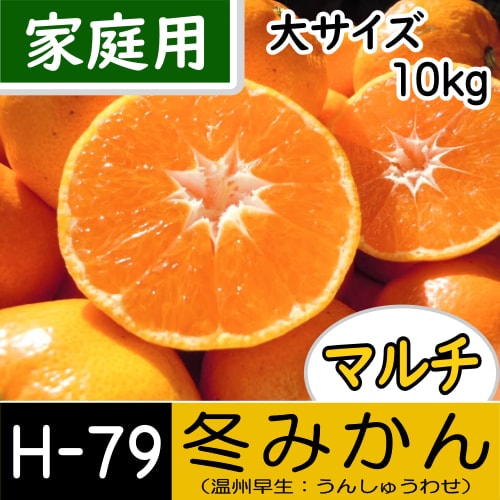 【南三重産】マルチ★冬みかん_家庭用[大サイズ]_10kg箱入[H-79]