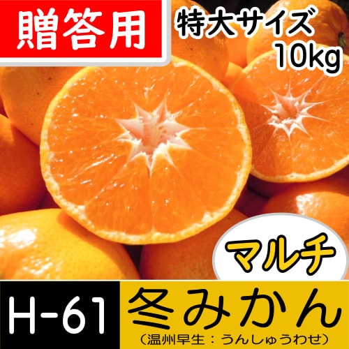 【南三重産】マルチ★冬みかん_贈答用[特大サイズ]_10kg箱入[H-61]