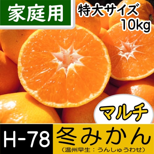【南三重産】マルチ★冬みかん_家庭用[特大サイズ]_10kg箱入[H-78]