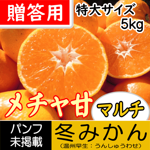 【南三重産】メチャ甘マルチ★冬みかん_贈答用[特大サイズ]_5kg箱入