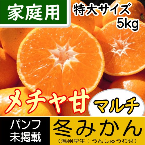 【南三重産】メチャ甘マルチ★冬みかん_家庭用[特大サイズ]_5kg箱入