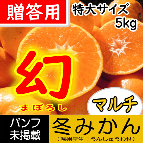 【南三重産】幻の冬みかん★贈答用[特大サイズ]_5kg箱入★糖度13度以上!!冬みかん最高級の味わい★