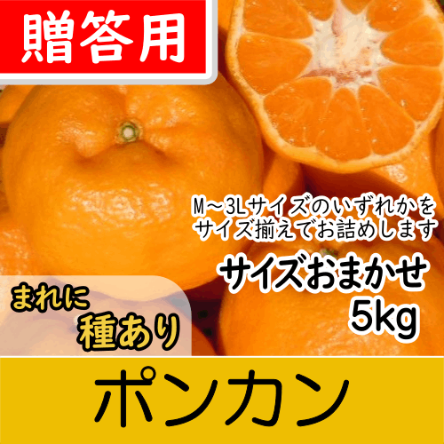 【南三重産】ポンカン_贈答用★サイズおまかせ★_5kg入～甘い香りが特徴！～