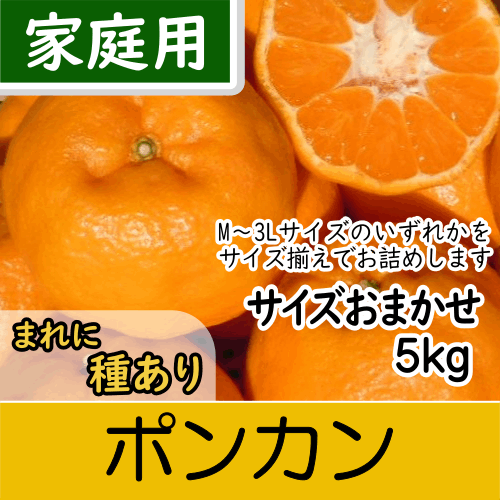 【南三重産】ポンカン_家庭用★サイズおまかせ★_5kg入～甘い香りが特徴！～