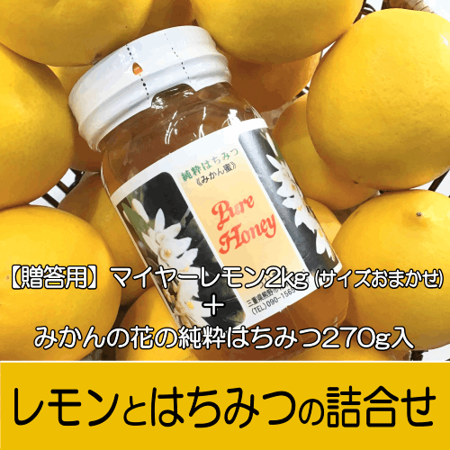 南三重産】レモンとはちみつの詰合せ