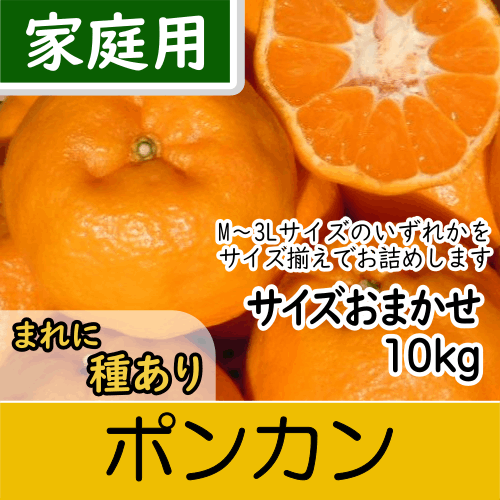 【南三重産】ポンカン_家庭用★サイズおまかせ★_10kg入～甘い香りが特徴！～