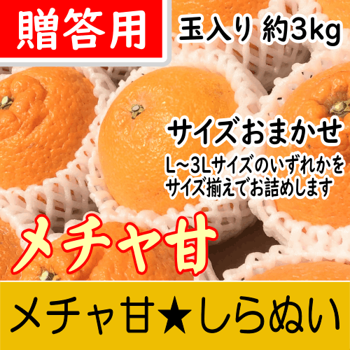 【南三重産】メチャ甘★しらぬい_贈答用【玉入】サイズおまかせ～厳選された糖度12.5度以上！～