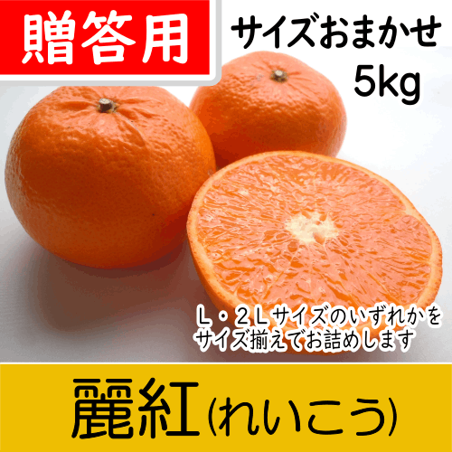 【南三重産】麗紅(れいこう)_贈答用★サイズおまかせ★5kg入～スッキリ甘く果汁が豊富でジューシー！～