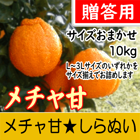 【南三重産】メチャ甘★しらぬい_贈答用★サイズおまかせ★10kg箱入～厳選された糖度12.5度以上！～