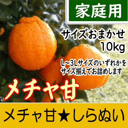 【南三重産】メチャ甘★しらぬい_家庭用★サイズおまかせ★10kg箱入～厳選された糖度12.5度以上！～