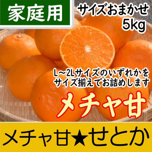 【南三重産】メチャ甘せとか_家庭用★サイズおまかせ★5kg入～糖度12.5～14度光センサー撰果！実がずっしり！～