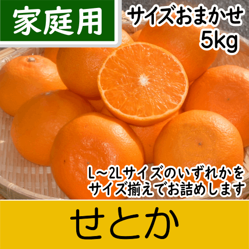 【南三重産】せとか_家庭用★サイズおまかせ★5kg入～独特の甘い香りと実がずっしり～