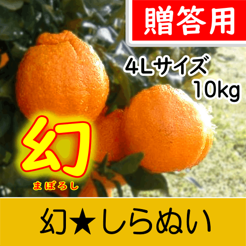 【南三重産】幻★しらぬい_贈答用4Lサイズ_10kg箱入～糖度14度以上！最高級の味わい～