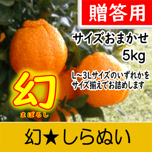 【南三重産】幻★しらぬい_贈答用★サイズおまかせ★5kg箱入～糖度14度以上！最高級の味わい～