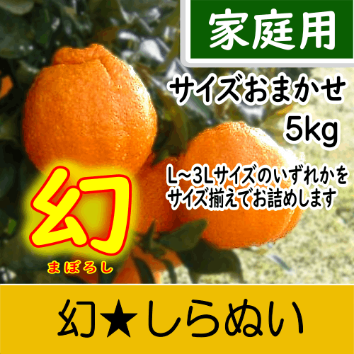 【南三重産】幻★しらぬい_家庭用★サイズおまかせ★5kg箱入～糖度14度以上！最高級の味わい～