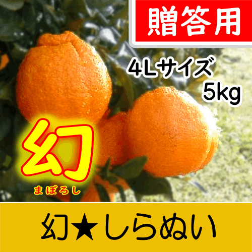 【南三重産】幻★しらぬい_贈答用4Lサイズ_5kg箱入～糖度14度以上！最高級の味わい～