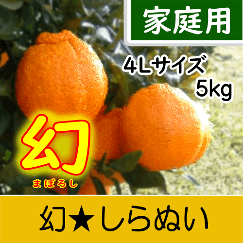 【南三重産】幻★しらぬい_家庭用4Lサイズ_5kg箱入～糖度14度以上！最高級の味わい～