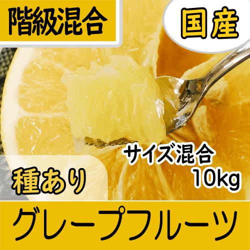 【南三重産】国産グレープフルーツ_階級混合★サイズ混合★10kg箱入★とても貴重な国産です！