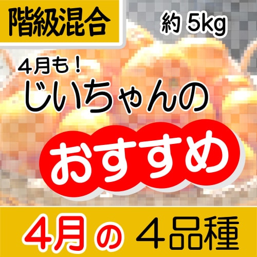 【南三重産】4月おすすめ詰合せ★4品種★約5kg入～じいちゃんのおすすめ詰合せ～