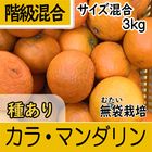 【南三重産】カラ・マンダリン_階級混合サイズ混合_3kg
