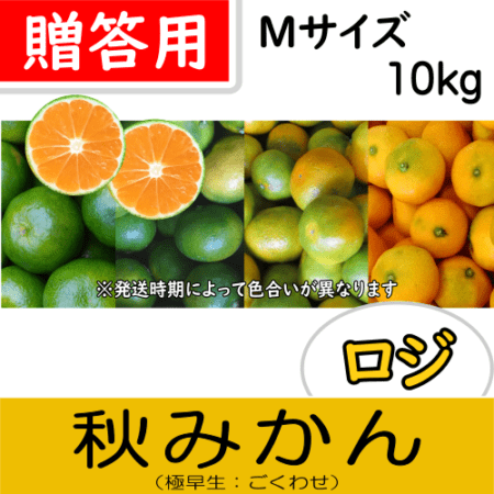 【南三重産】ロジ秋みかん_贈答用Mサイズ_10kg箱入～秋の定番！～