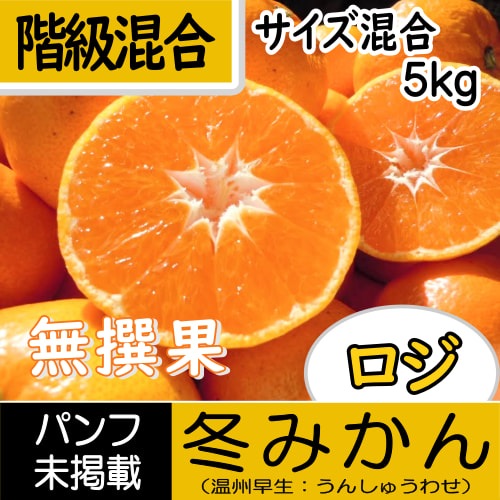 【南三重産】無撰果★ロジ冬みかん_階級混合[サイズ混合]_5kg箱入