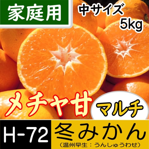 ついに登場！『幻のみかん』！