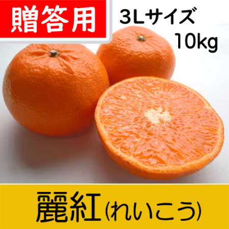 【南三重産】麗紅(れいこう)_贈答用3Lサイズ_10kg入～スッキリ甘く果汁が豊富でジューシー！～