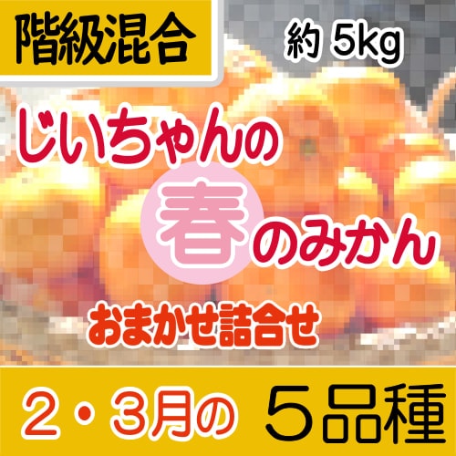 【南三重産】じいちゃんの2・3月のみかん★おまかせ詰合せ★5品種★約5kg入（贈答・家庭用混合）