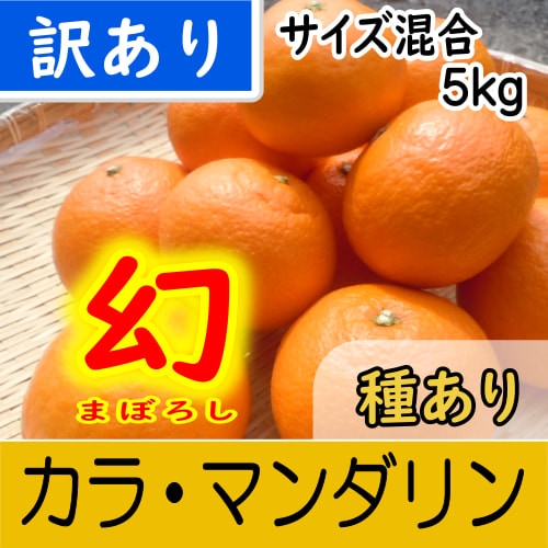【南三重産】幻★カラ・マンダリン_訳あり品サイズ混合_5kg～果汁たっぷり！春のみかん～