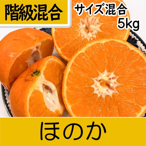 商品一覧 ｜ みかんの通販はこだわりみかんの『御浜柑橘（みはま