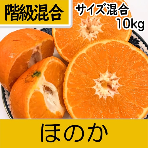 南三重産】ほのか_階級混合サイズ混合_5kg入~新登場!みえ紀南5号を 南三重産】ほのか_階級混合サイズ混合_5kg入~新登場!みえ紀南5号を
