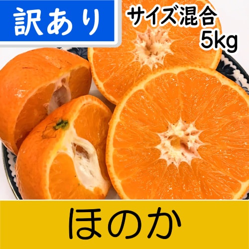 【南三重産】ほのか_訳ありサイズ混合_5kg入～新登場！みえ紀南5号を「ほのか」に命名！～