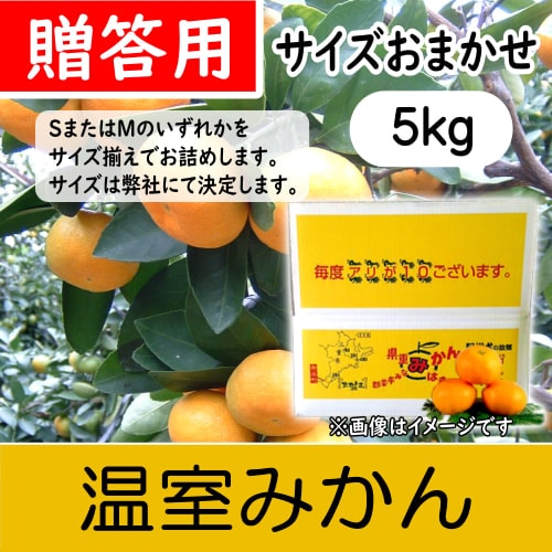 【南三重産】温室みかん_贈答用★サイズおまかせ_5kg箱入～夏の贈り物☆～