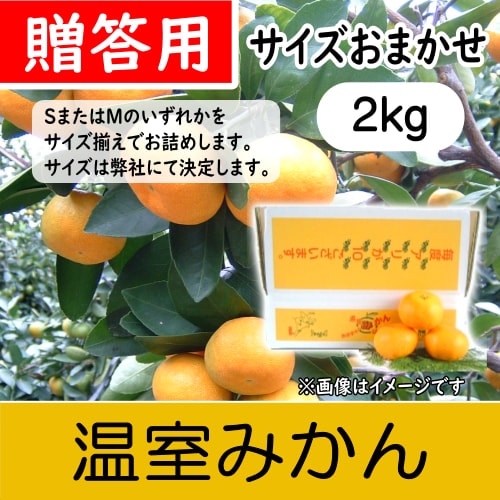 【南三重産】温室みかん_贈答用★サイズおまかせ_2kg箱入(H-80)～夏の贈り物に☆～