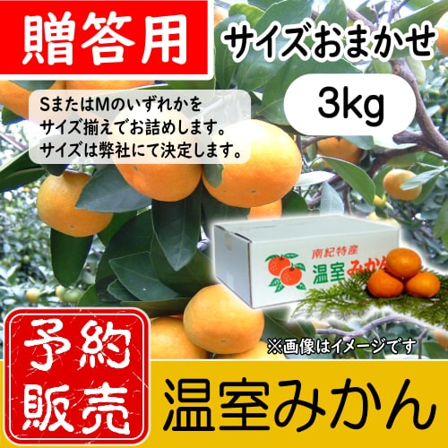 予約販売【7月中旬以降発送】メチャ甘ジュースセット(2S)☆「温室