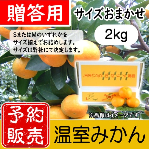 予約販売【7月中旬以降発送】メチャ甘ジュースセット(2S)☆「温室