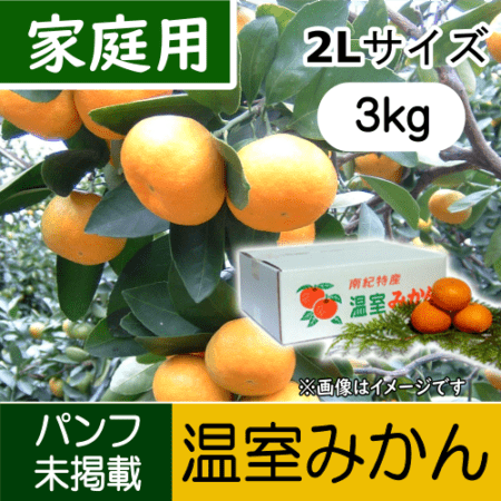 【南三重産】温室みかん 家庭用 2Lサイズ 3kg箱入～冷やして食べてね☆～