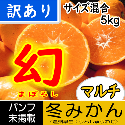 【南三重産】幻★冬みかん_訳あり_5kg箱入★糖度13度以上!!